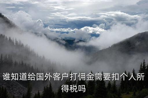 收到境外傭金交什么稅，關(guān)于國(guó)外支付國(guó)內(nèi)傭金方面的稅務(wù)問(wèn)題