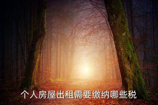 個人租房交什么稅，個人出租房屋要交什么稅費