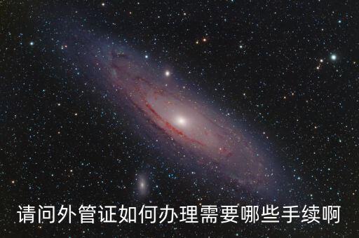 請(qǐng)問外管證如何辦理需要哪些手續(xù)啊