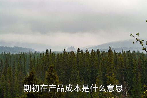 期初在產品成本是什么意思