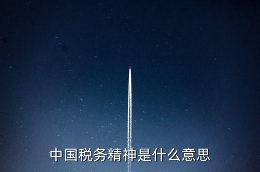 中國稅務精神是什么意思