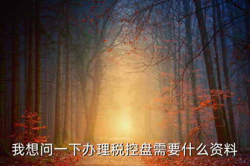 我想問(wèn)一下辦理稅控盤需要什么資料