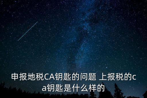 ca鑰匙是什么，申報(bào)地稅CA鑰匙的問題 上報(bào)稅的ca鑰匙是什么樣的