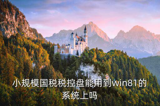 稅盤安裝支持什么系統(tǒng)下載，稅控發(fā)票開票軟件v2130170612能在win10上安裝嗎