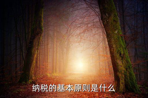 納稅原則是什么，納稅的基本原則是什么