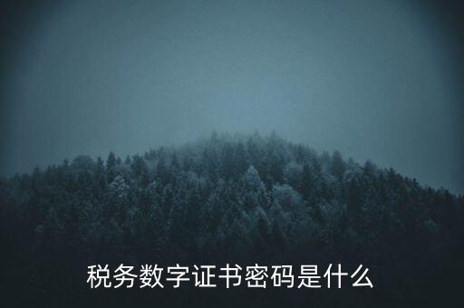 輸入稅務(wù)數(shù)字證書密碼是什么，稅務(wù)數(shù)字證書密碼是什么