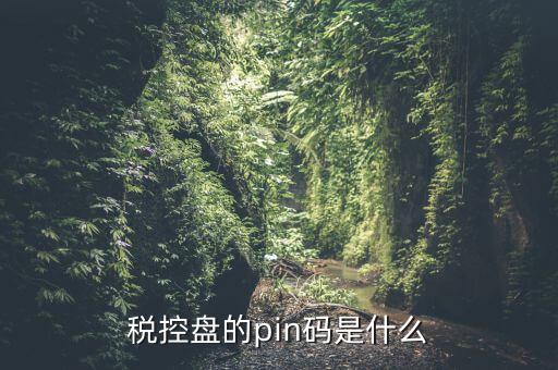 報稅pin口令是什么，稅控盤的pin碼是什么