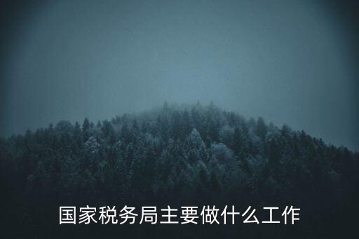 國(guó)家稅務(wù)局主要做什么工作