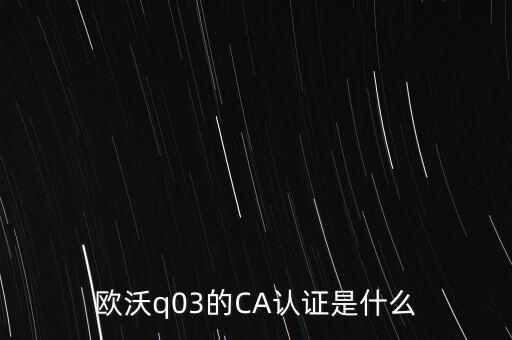ca認證密碼是什么意思，歐沃q03的CA認證是什么