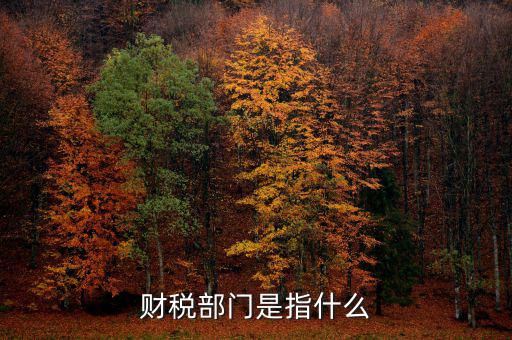 財(cái)稅征收保障網(wǎng)是什么，財(cái)稅部門是指什么