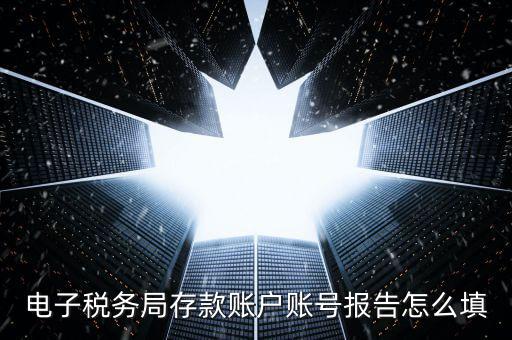 電子稅務(wù)局存款賬戶賬號報(bào)告怎么填