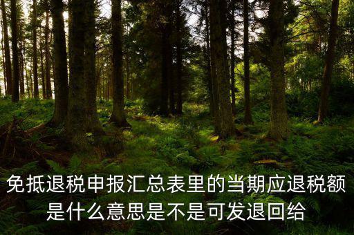 免抵退貨物應(yīng)退稅額是什么意思，免抵退應(yīng)退稅額是什么意思