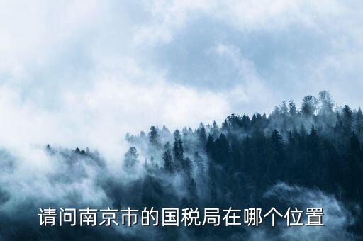 江蘇國(guó)稅總局在南京什么地方，南京的國(guó)稅局和地稅局分別在哪里