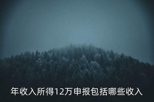 十二萬申報是什么，12萬個稅申報有什么用