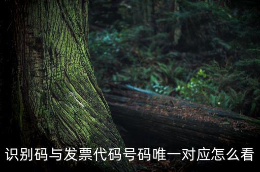 發(fā)票查詢識(shí)別碼是什么，識(shí)別碼與發(fā)票代碼號(hào)碼唯一對(duì)應(yīng)怎么看