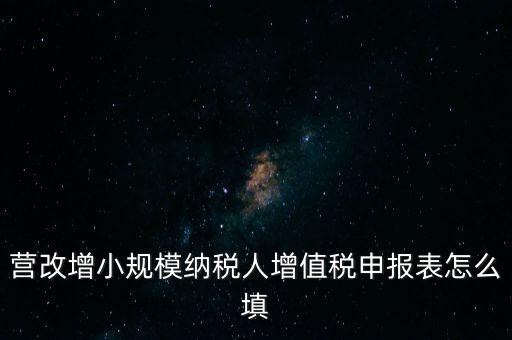 營(yíng)改增需要填什么表，營(yíng)改增小規(guī)模納稅人網(wǎng)上納稅申報(bào)需要填寫幾張表