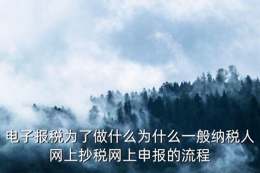 電子稅務(wù)申報是什么來的，電子申報納稅是怎么回事給報送紙質(zhì)申報材料一樣嗎