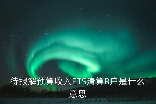 地稅b戶是什么，待報(bào)解預(yù)算收入ETS清算B戶是什么意思