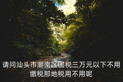 國稅3萬元不到地稅要交什么稅，請問汕頭市潮南區(qū)國稅三萬元以下不用繳稅那地稅用不用呢