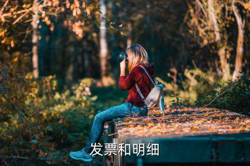 發(fā)票中的明細(xì)是什么意思，發(fā)票的明細(xì)條數(shù)控制在2000條是什么意思