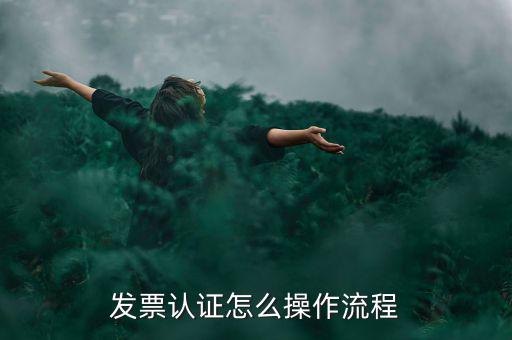 增值稅發(fā)票選擇確認需要什么，增值稅發(fā)票認證怎么操作