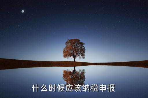 消費稅什么時候申報，什么時候應(yīng)該納稅申報