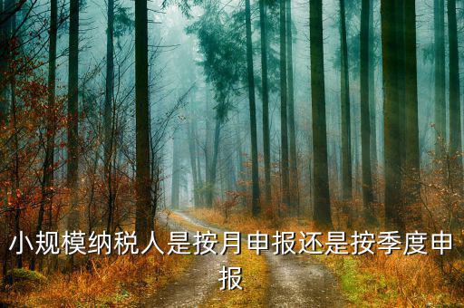小規(guī)模納稅人按季申報(bào)是指什么，增值稅小規(guī)模納稅人按季申報(bào)怎么填