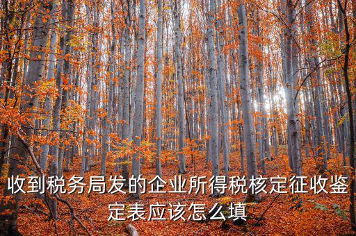 去稅務(wù)局核定征收填什么，核定征收企業(yè)報(bào)所得稅在去稅務(wù)局核定時(shí)需要拿什么資料