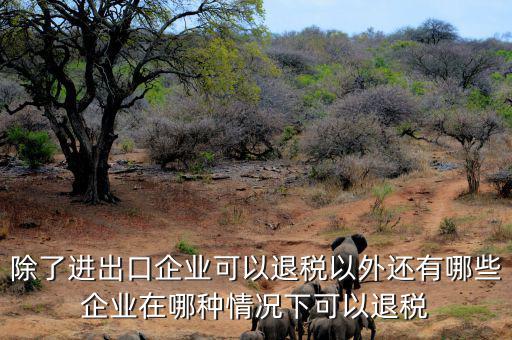 中國什么公司可以退稅，除了進(jìn)出口企業(yè)可以退稅以外還有哪些企業(yè)在哪種情況下可以退稅