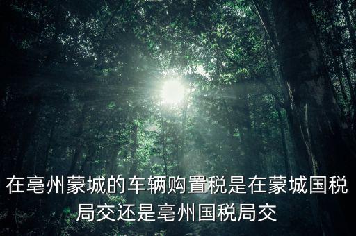 國稅局掛牌是什么意思，濮陽摩托辦照