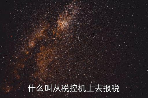 什么是稅控機(jī)的即時(shí)申報(bào)，稅控機(jī)申報(bào)記錄甚么意思