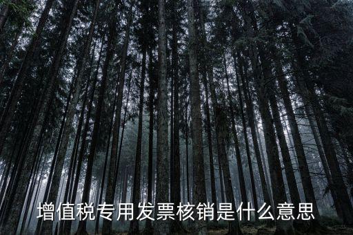 發(fā)票管家是什么，發(fā)票開票系統(tǒng)KEY是什么