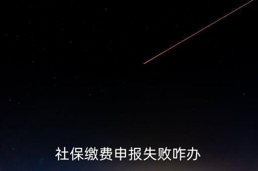 社保費(fèi)申報(bào)為什么進(jìn)不去，社保繳費(fèi)申報(bào)失敗咋辦