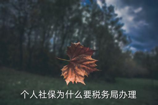 社會(huì)保險(xiǎn)繳納和稅務(wù)局什么關(guān)系，社保為什么要稅務(wù)部門征收