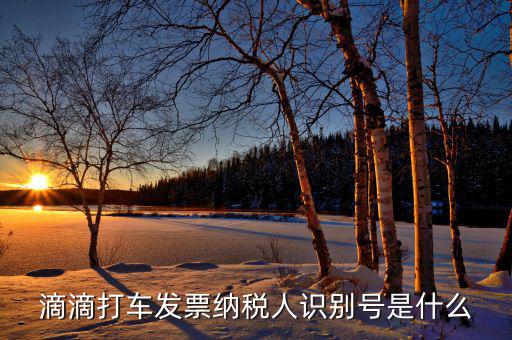 稅優(yōu)識別號是什么，滴滴打車發(fā)票納稅人識別號是什么