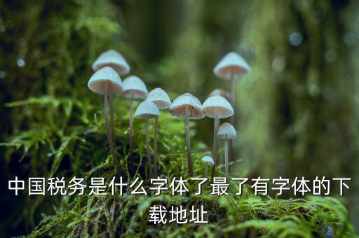 中國(guó)稅務(wù)是什么字體，中國(guó)稅務(wù)是什么字體了最了有字體的下載地址