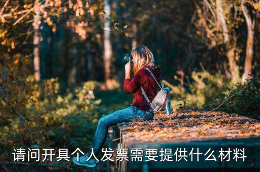 個(gè)人發(fā)票需要什么資料，個(gè)人購(gòu)物開(kāi)增值稅普通發(fā)票需要什么資料