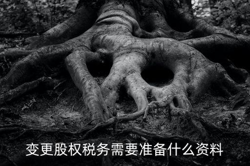 股權(quán)變更完稅憑證需要什么資料，變更股權(quán)稅務(wù)需要準(zhǔn)備什么資料