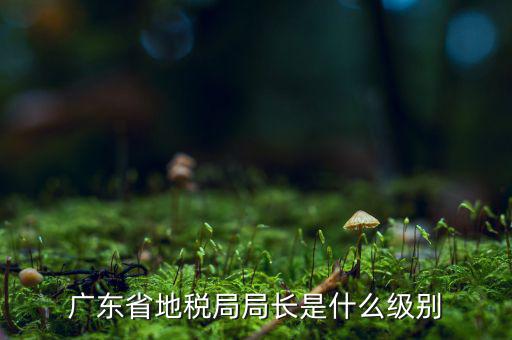 地稅局長(zhǎng)是什么級(jí)別，廣東省地稅局局長(zhǎng)是什么級(jí)別