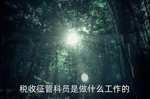 國稅局征管員和企業(yè)要做什么，稅收征管的公務(wù)員主要做什么工作
