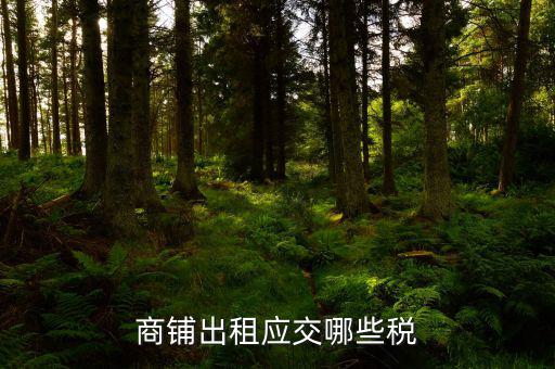 門面租賃稅是什么，商鋪出租應(yīng)交哪些稅