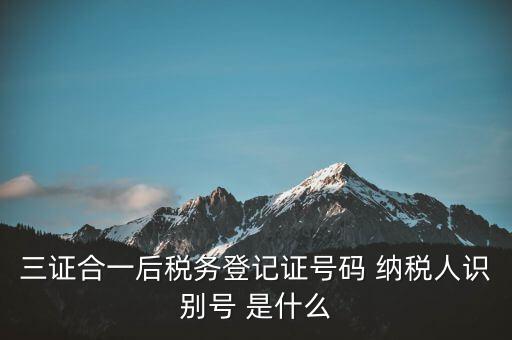 三證合一納稅識別號是什么，三證合一后納稅人識別號是什么意思