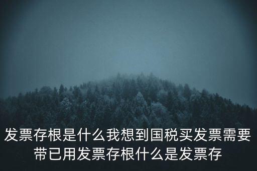 發(fā)票電子存根是什么，發(fā)票存根是什么