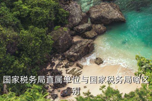 國(guó)稅局直屬單位是什么意思，國(guó)稅局是什么單位