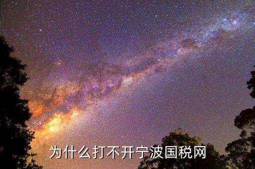 寧波國稅app為什么登陸不上，為什么打不開寧波國稅網(wǎng)