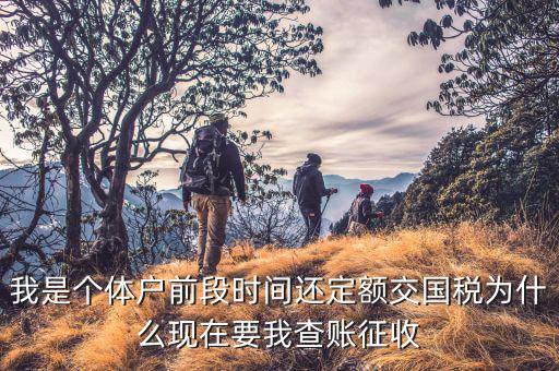 我是個(gè)體戶前段時(shí)間還定額交國(guó)稅為什么現(xiàn)在要我查賬征收