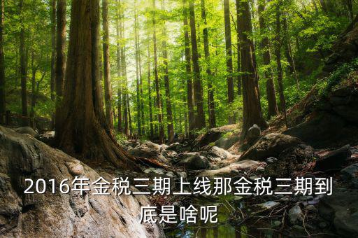 什么是進(jìn)稅三期，金稅三期是什么意思