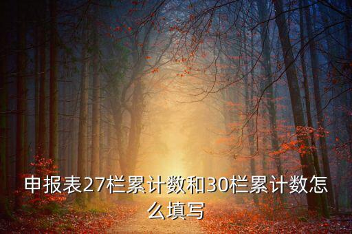 什么是期初未繳稅額，申報(bào)表27欄累計(jì)數(shù)和30欄累計(jì)數(shù)怎么填寫(xiě)