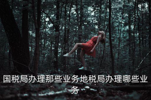 地稅辦理什么業(yè)務(wù)，國稅局辦理那些業(yè)務(wù)地稅局辦理哪些業(yè)務(wù)
