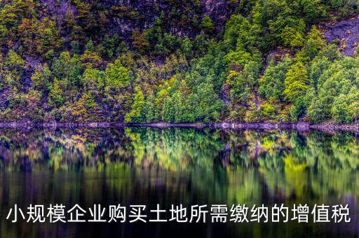 公司購(gòu)買土地需要交什么稅，小規(guī)模企業(yè)購(gòu)買土地所需繳納的增值稅